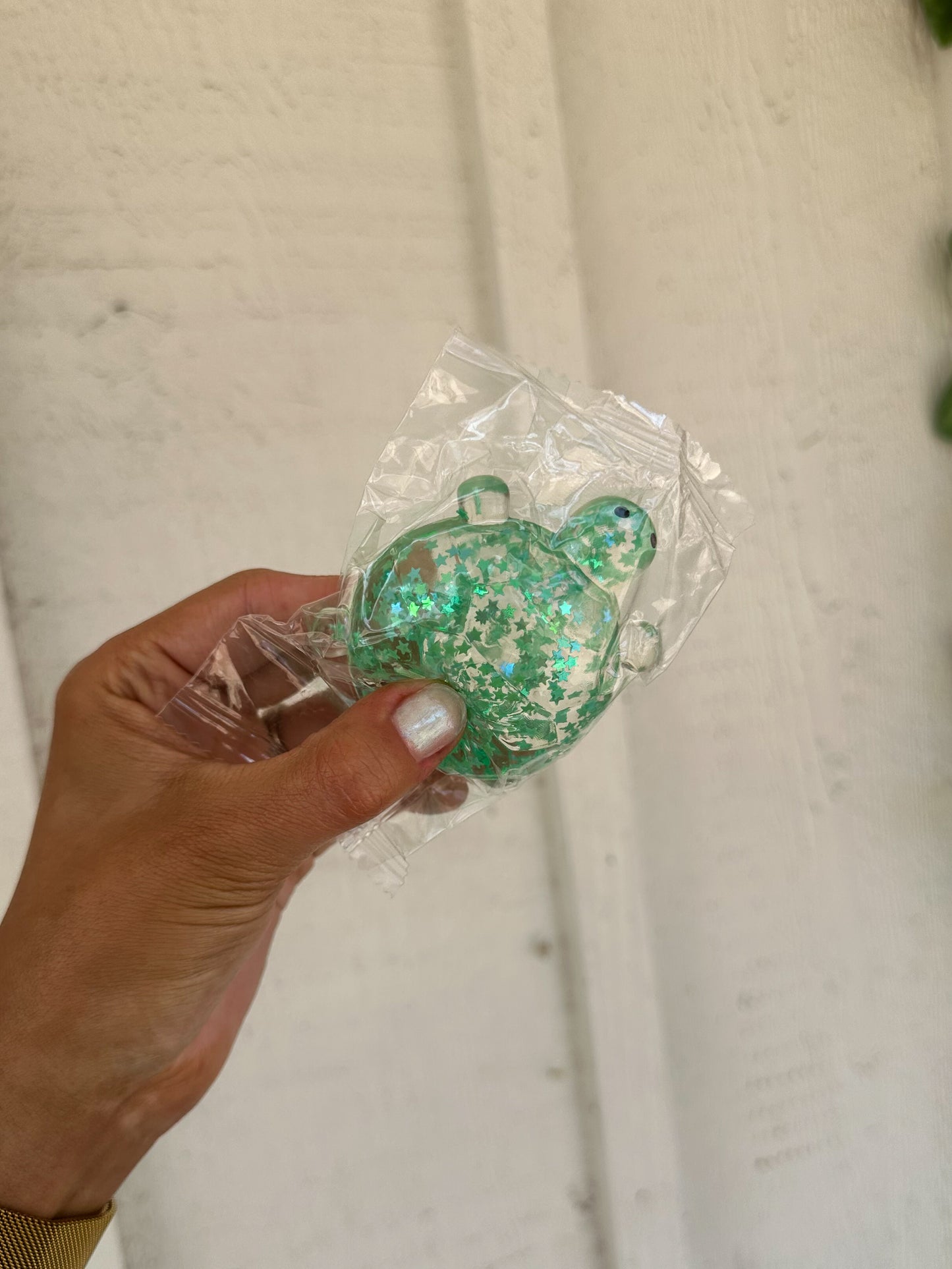 Twinkle Turtle Squishy GREEN