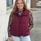 Windy Winter Puffer Vest